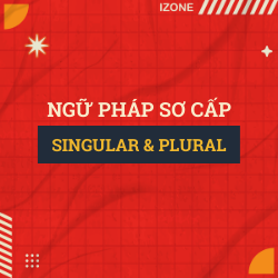 Ngữ pháp sơ cấp – Unit 29: TRAIN(S) BUS(ES) (SINGULAR AND PLURAL – SỐ ÍT VÀ SỐ NHIỀU)