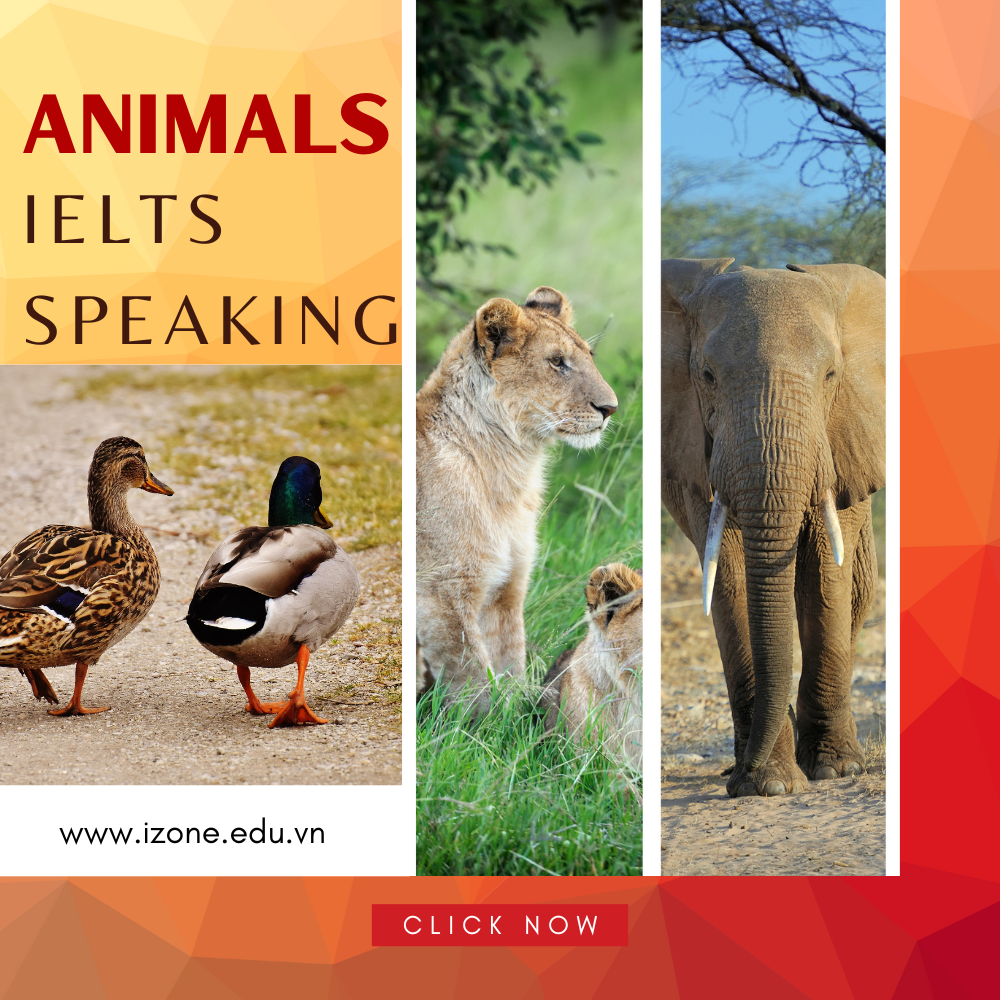 Animals IELTS Speaking: Câu hỏi, từ vựng IELTS chủ đề pets và wild animals