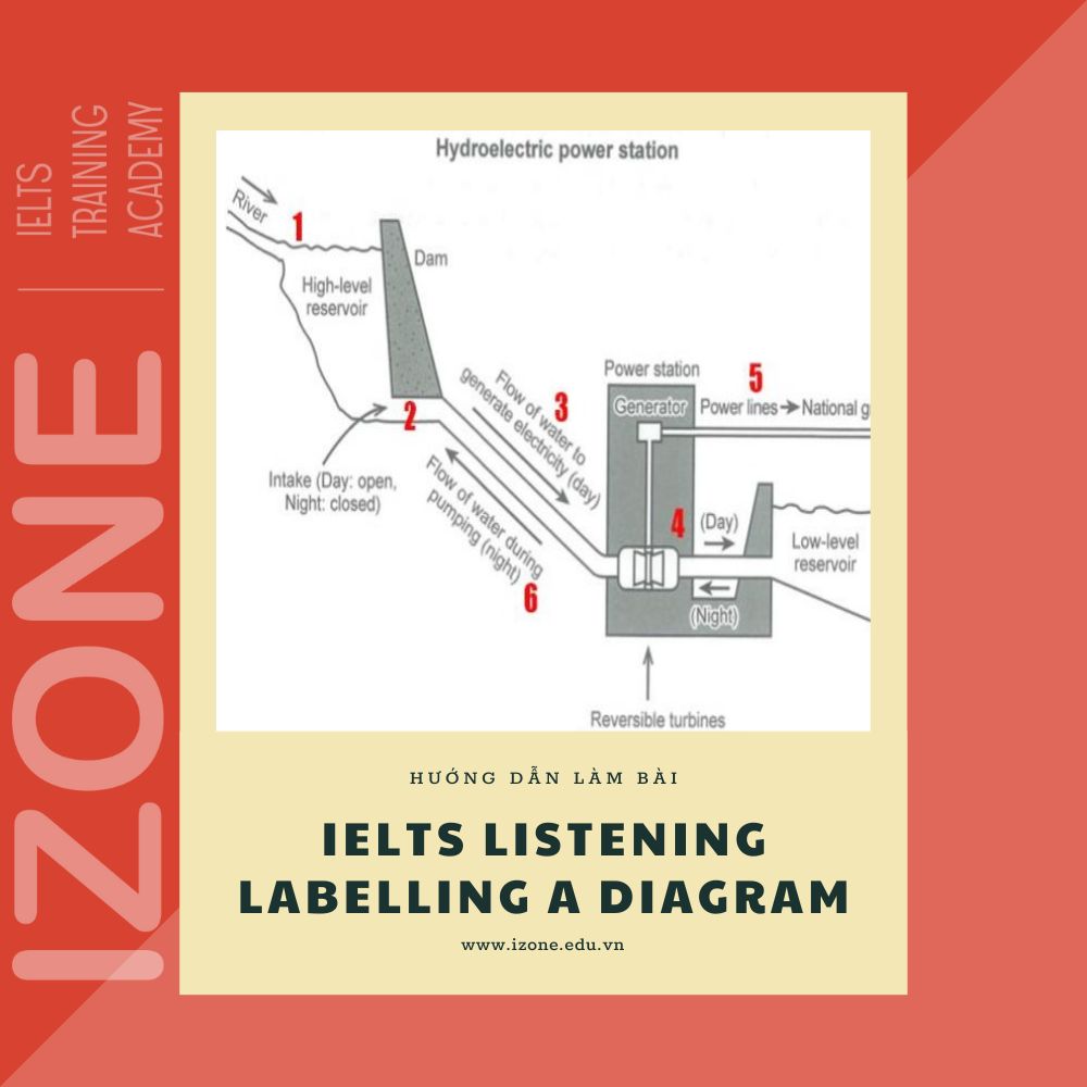 IELTS Listening Labelling A Diagram – Hướng dẫn cách xử lý nhanh gọn