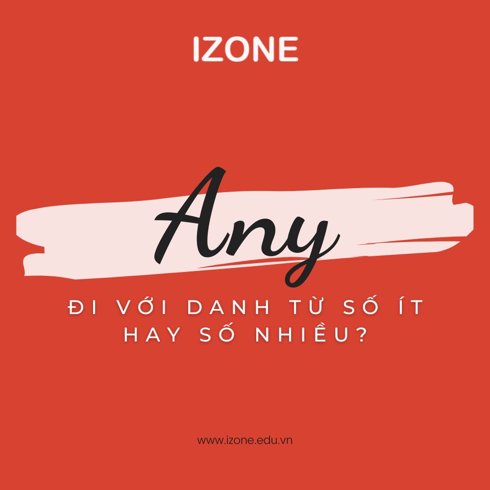 Any đi với danh từ số ít hay số nhiều? – Giải đáp chi tiết