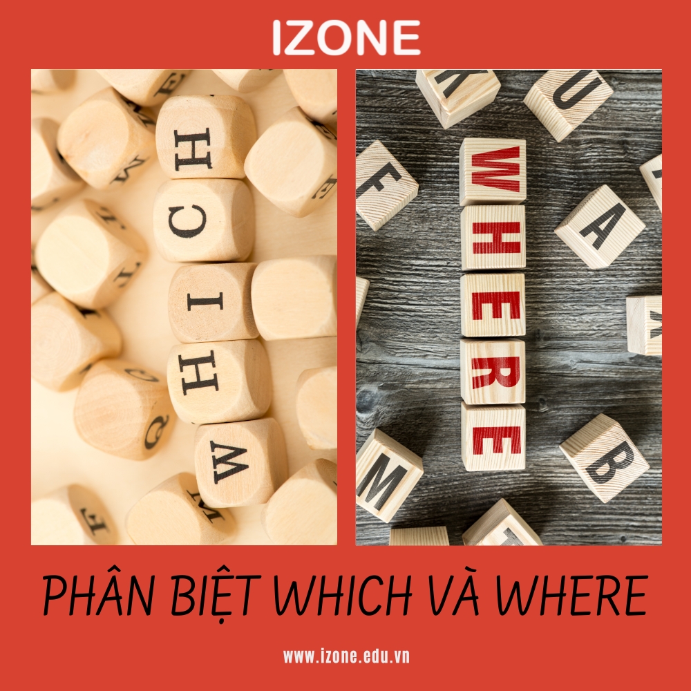 Phân biệt which và where – Giải đáp chi tiết