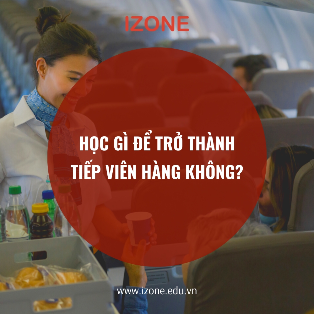 Học gì để làm tiếp viên hàng không? – Giải đáp chi tiết